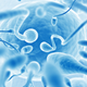 Illustration for article titled Sperm Captured in 3D for the First Time Reveals Corkscrew Swimming Patterns